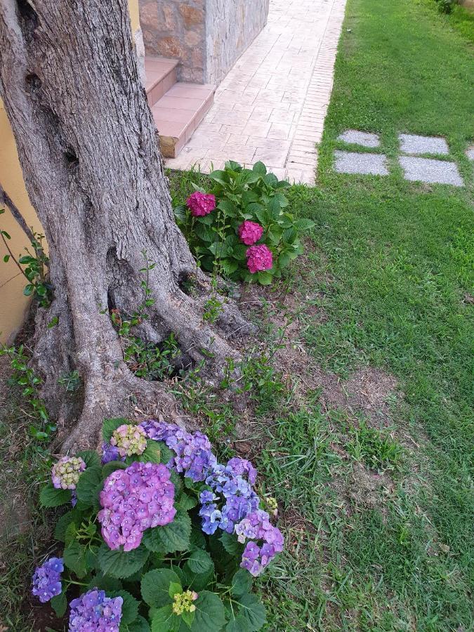 Laura Casa Vacanze Капо-Ватикано Экстерьер фото